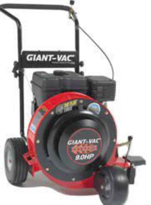 Where to find blower leaf push 9hp giant vac in Chesterland