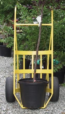 Rental store for DOLLY, TREE 24  BALL CART in Chesterland OH