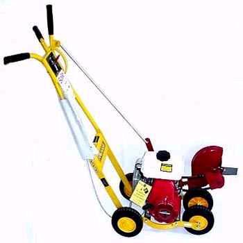 Rental store for EDGER, SIDEWALK in Chesterland OH