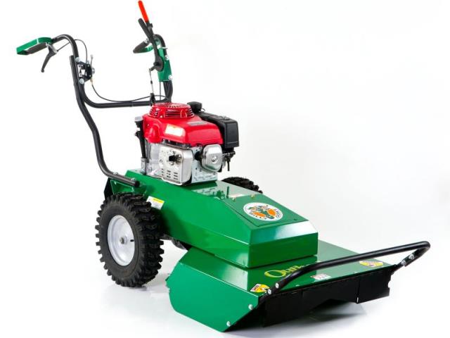Rental store for MOWER, HIGH WEED, BILLY GOAT in Chesterland OH