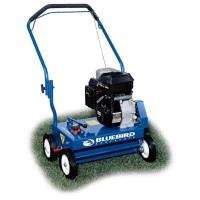 Rental store for THATCHER, LAWN 5 HP WALKBHND in Chesterland OH
