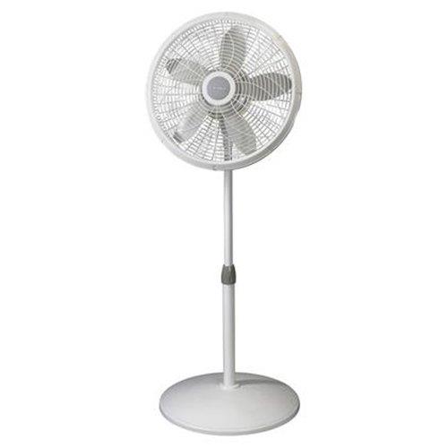 Rental store for FAN, PEDESTAL 5  24  BLADES in Chesterland OH